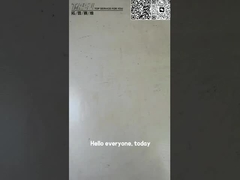 TZ910B1009-00 PC60-6 Excavator Travel RV Shfat